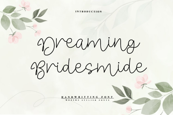 Dreaming Bridesmide Script Font for Campaign Clarity